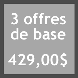 3 offres d'emploi de base: 429,00$