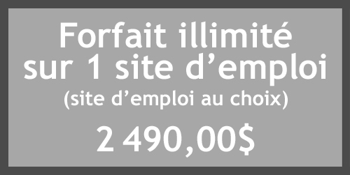 Forfait illimité sur 1 site d'emploi